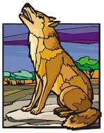 sogno del coyote image, a worrying dream